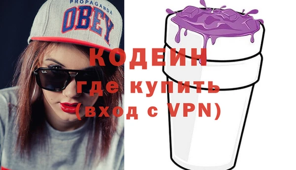 дмт Елизово