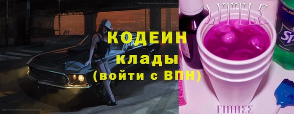 дмт Елизово