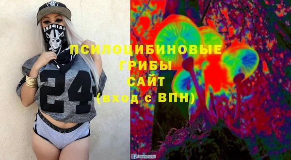 дмт Елизово
