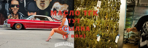 дмт Елизово