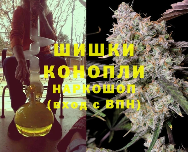 дмт Елизово
