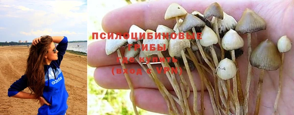 тгк Елабуга