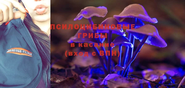 дмт Елизово