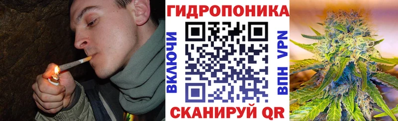 где купить наркоту  Сенгилей  Бошки Шишки AK-47 